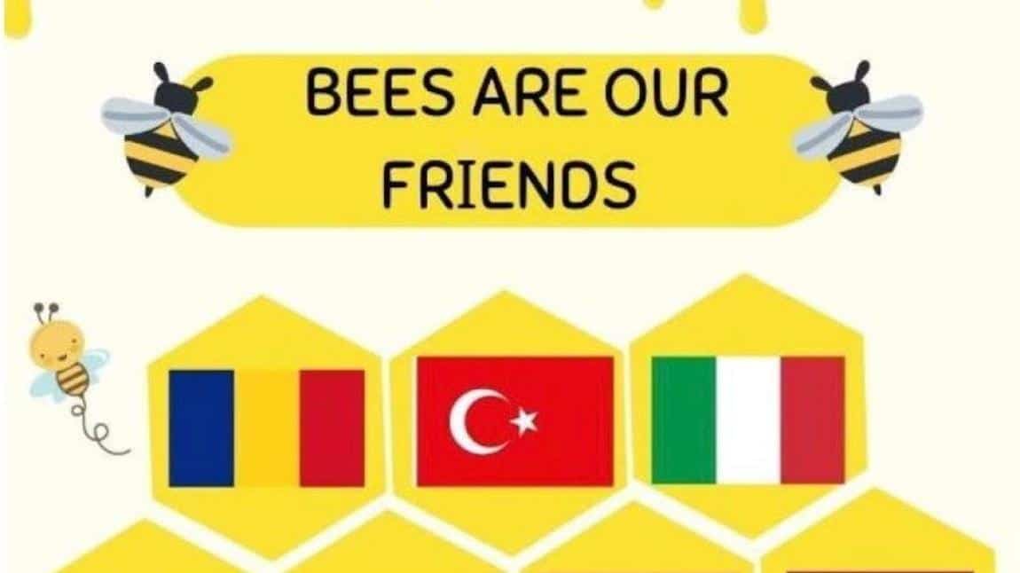 eTwinning – Bees Are Our Friends